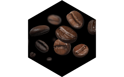 Le café de spécialité, au cœur de l’exception